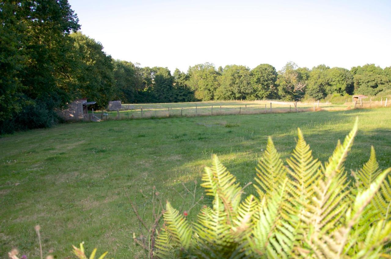 Gite Le Champ Libre Dompierre-Sur-Yon エクステリア 写真